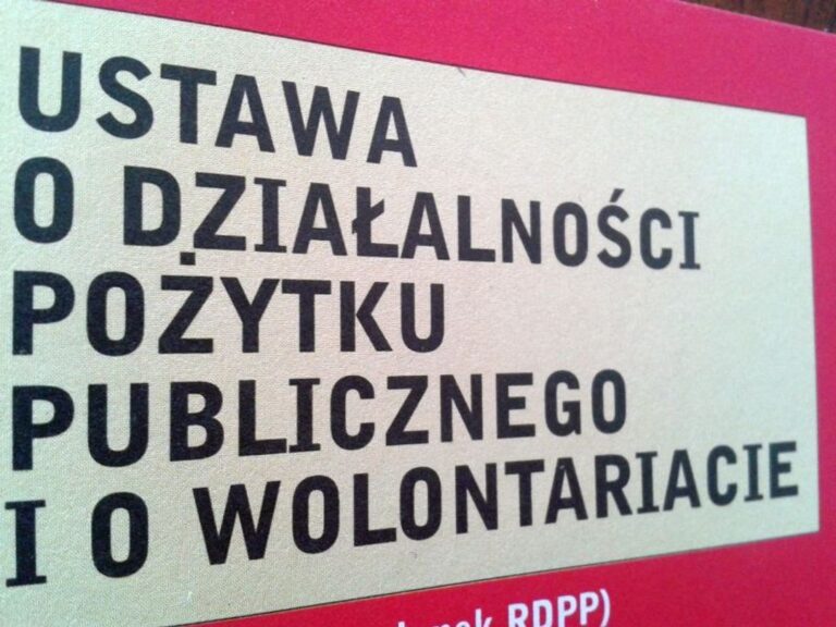 Oferta złożona w trybie art. 19a ustawy z dnia 24 kwietnia 2003 r. o działalności pożytku publicznego i o wolontariacie