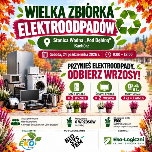 WIELKA ZBIÓRKA ELEKTROODPADÓW